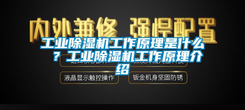 工业草莓视频APP在线观看工作原理是什么 ？工业草莓视频APP在线观看工作原理介绍