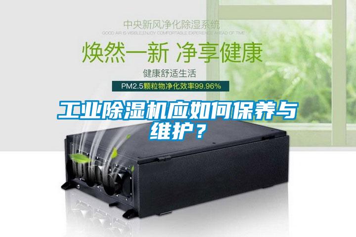 工业草莓视频APP在线观看应如何保养与维护？