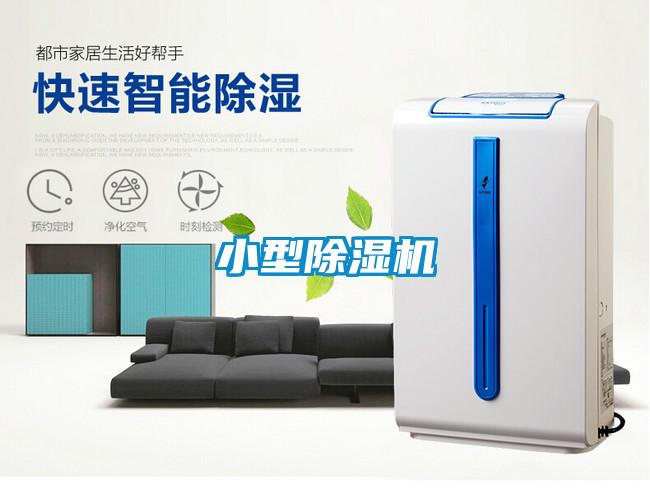 小型草莓视频APP在线观看
