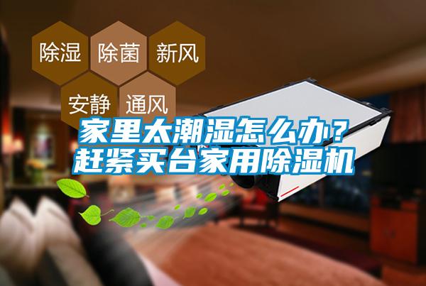 家里太潮湿怎么办？赶紧买台家用草莓视频APP在线观看
