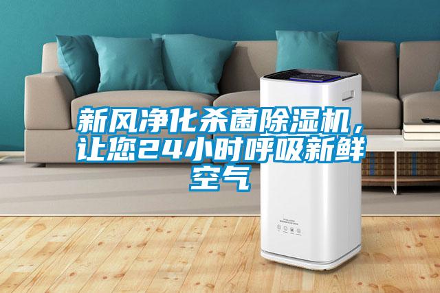 新风净化杀菌草莓视频APP在线观看，让您24小时呼吸新鲜空气