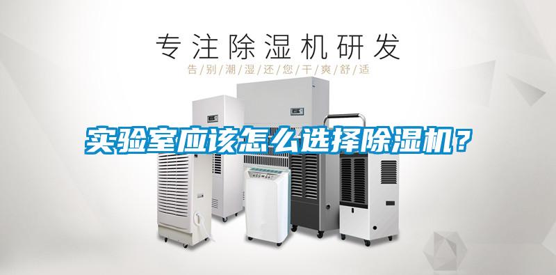 实验室应该怎么选择草莓视频APP在线观看？