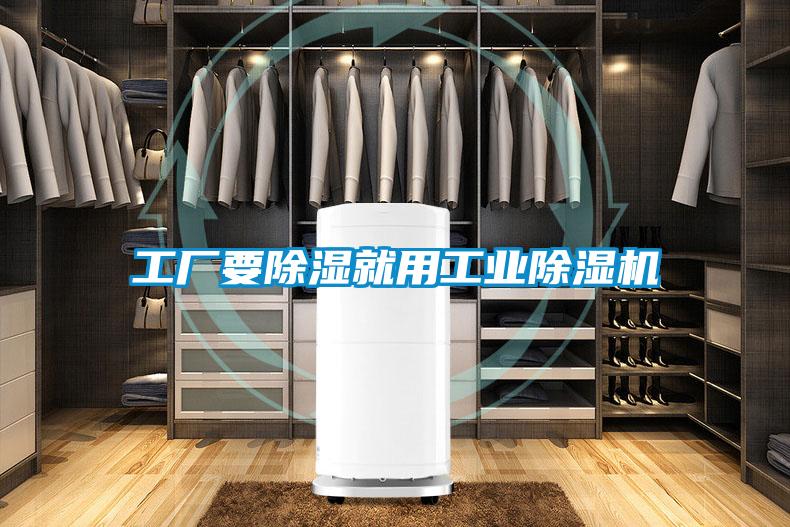 工厂要除湿就用工业草莓视频APP在线观看