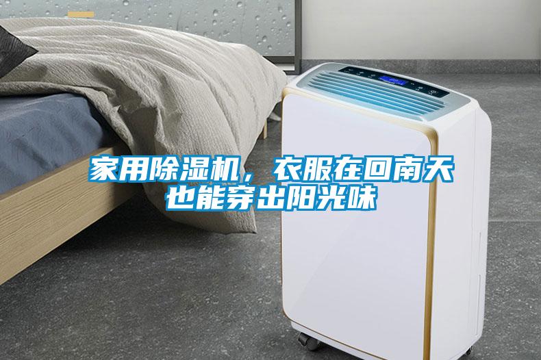 家用草莓视频APP在线观看，衣服在回南天也能穿出阳光味