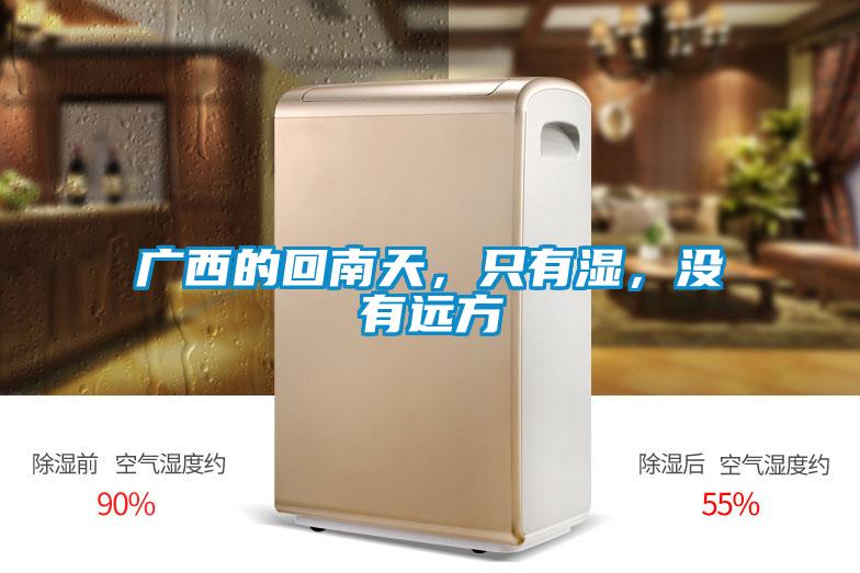 广西的回南天，只有湿，没有远方