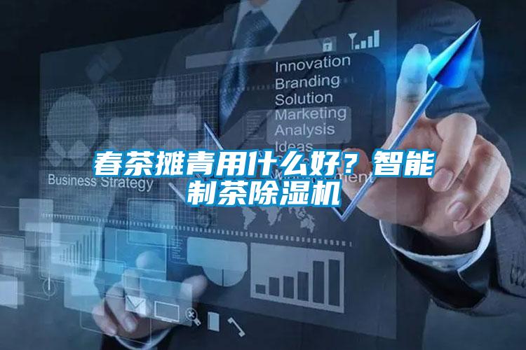 春茶摊青用什么好？智能制茶草莓视频APP在线观看