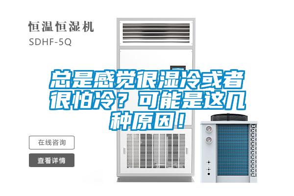 总是感觉很湿冷或者很怕冷？可能是这几种原因！