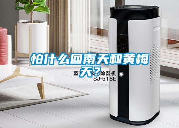 怕什么回南天和黄梅天？