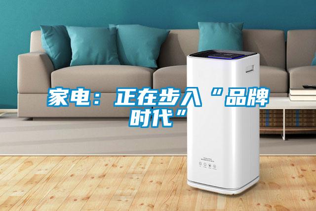 家电：正在步入“品牌时代”