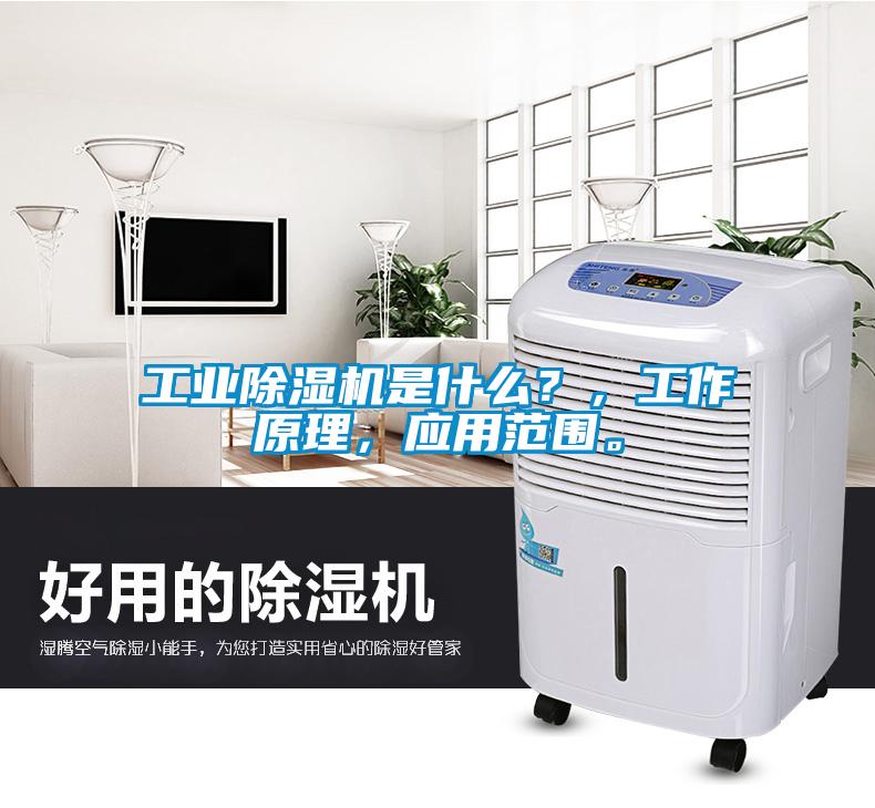 工业草莓视频APP在线观看是什么？，工作原理，应用范围。