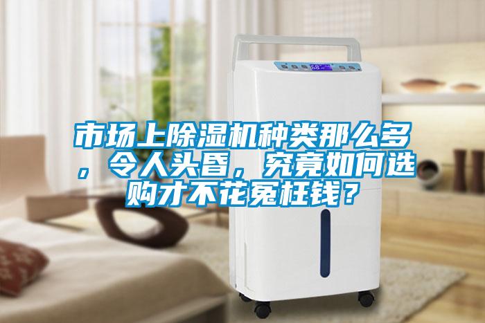 市场上草莓视频APP在线观看种类那么多，令人头昏，究竟如何选购才不花冤枉钱？