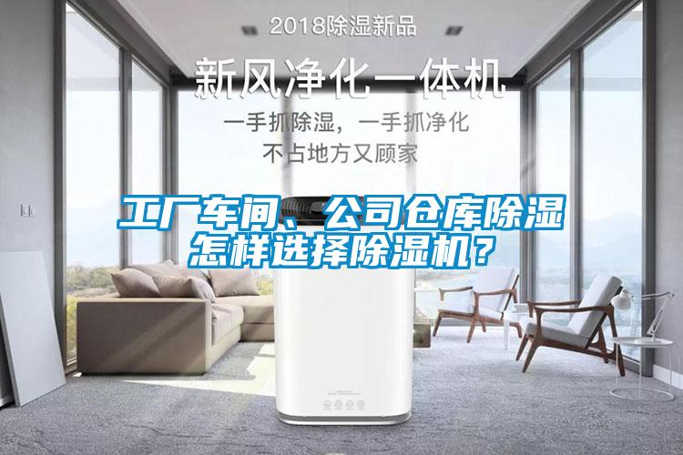 工厂车间、公司仓库除湿怎样选择草莓视频APP在线观看？