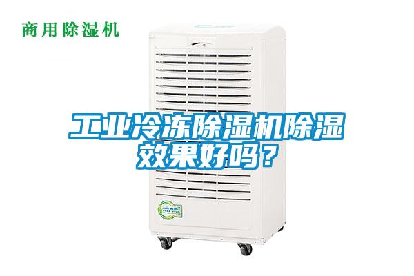 工业冷冻草莓视频APP在线观看除湿效果好吗？