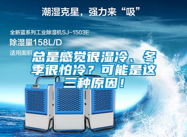 总是感觉很湿冷、冬季很怕冷？可能是这三种原因！