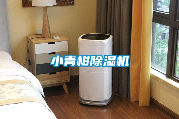 小青柑草莓视频APP在线观看
