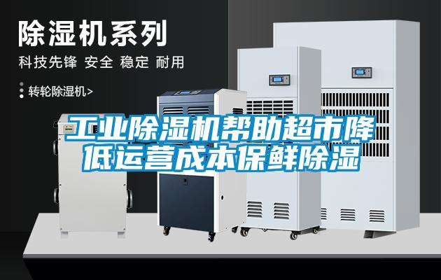 工业草莓视频APP在线观看帮助超市降低运营成本保鲜除湿