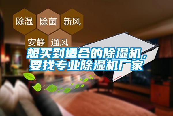 想买到适合的草莓视频APP在线观看，要找专业草莓视频APP在线观看厂家