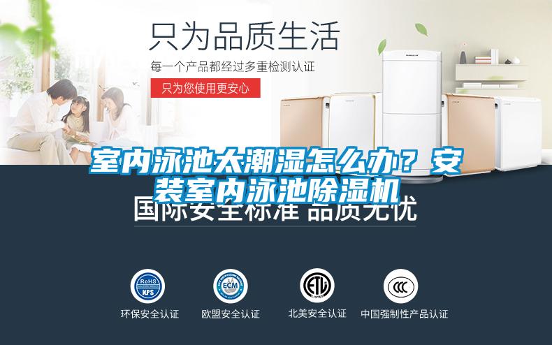 室内泳池太潮湿怎么办？安装室内泳池草莓视频APP在线观看