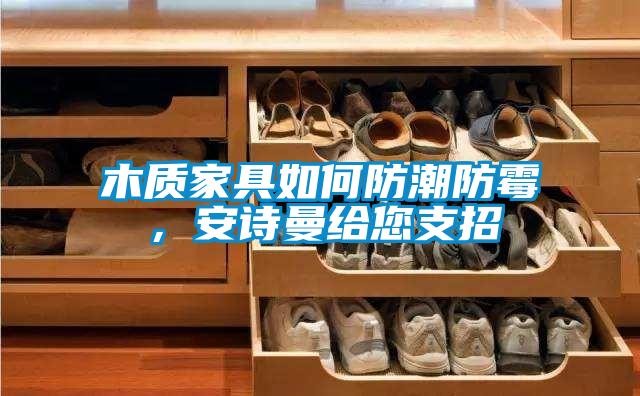 木质家具如何防潮防霉，草莓视频污污版给您支招