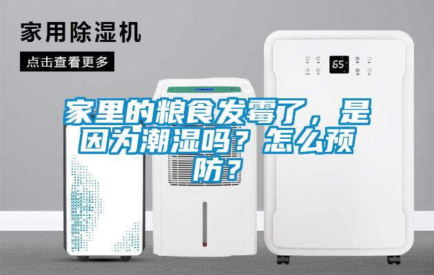 家里的粮食发霉了，是因为潮湿吗？怎么预防？