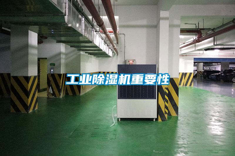 工业草莓视频APP在线观看重要性