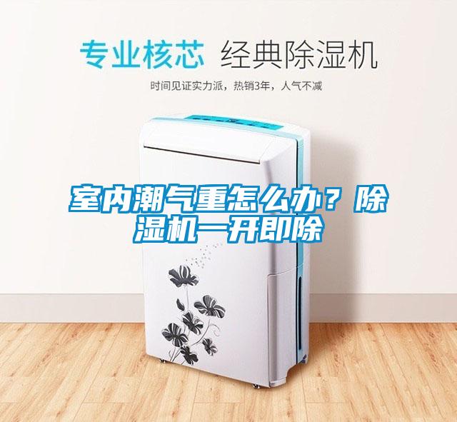 室内潮气重怎么办？草莓视频APP在线观看一开即除