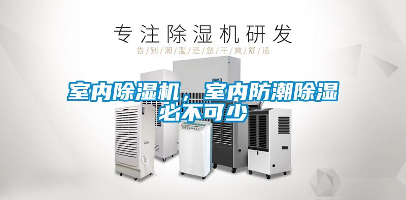 室内草莓视频APP在线观看，室内防潮除湿必不可少