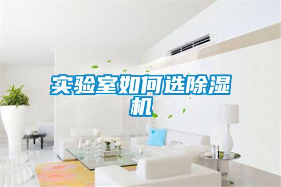 实验室如何选草莓视频APP在线观看