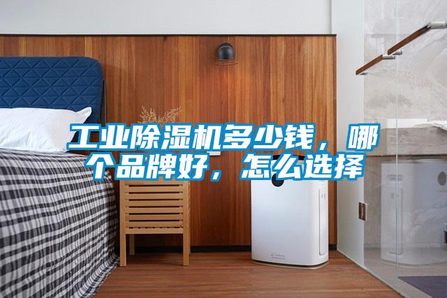 工业草莓视频APP在线观看多少钱，哪个品牌好，怎么选择
