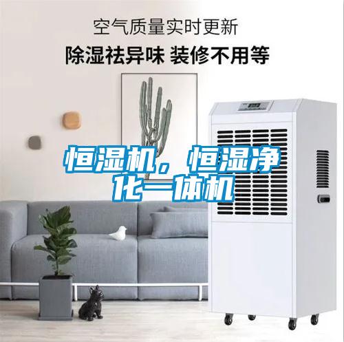 恒湿机，恒湿净化一体机