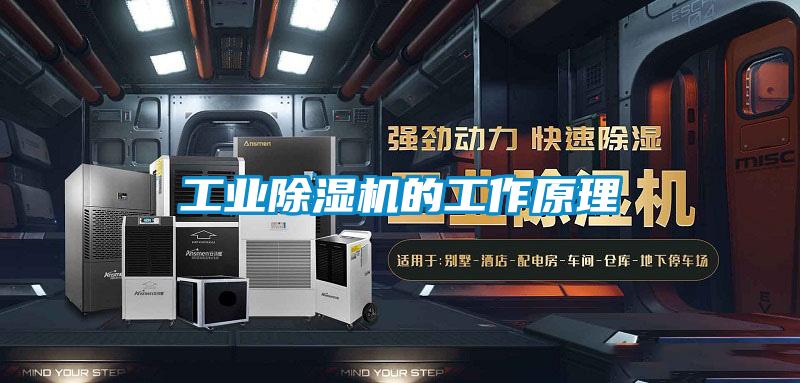 工业草莓视频APP在线观看的工作原理