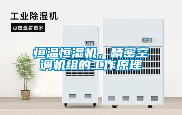 恒温恒湿机，精密空调机组的工作原理