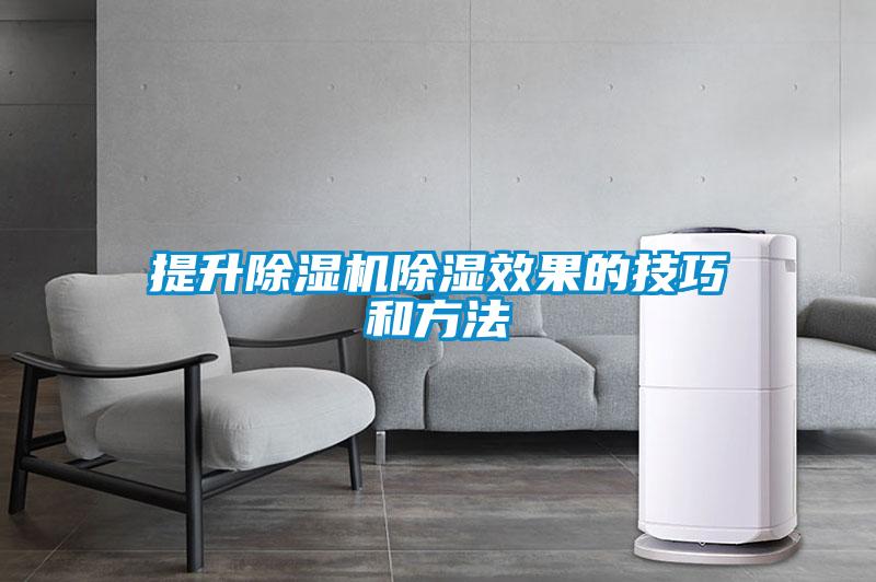 提升草莓视频APP在线观看除湿效果的技巧和方法