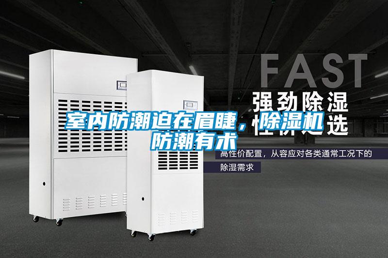 室内防潮迫在眉睫，草莓视频APP在线观看防潮有术