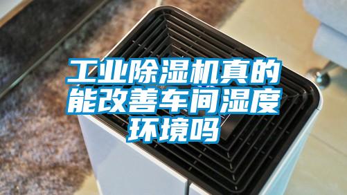 工业草莓视频APP在线观看真的能改善车间湿度环境吗