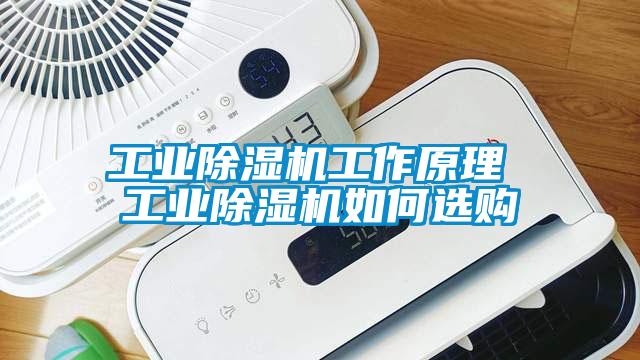 工业草莓视频APP在线观看工作原理 工业草莓视频APP在线观看如何选购