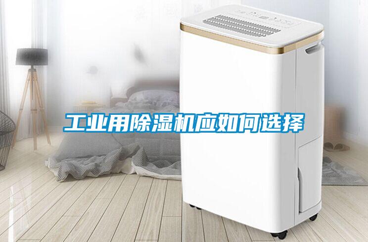 工业用草莓视频APP在线观看应如何选择