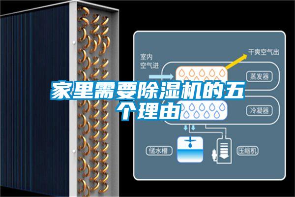 家里需要草莓视频APP在线观看的五个理由