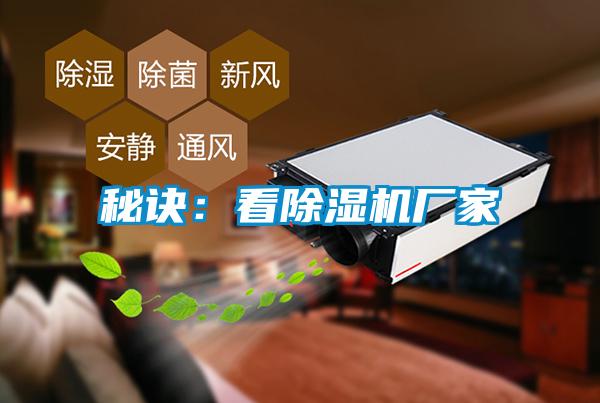 秘诀：看草莓视频APP在线观看厂家