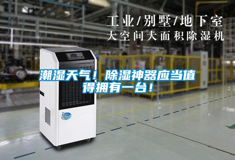 潮湿天气！除湿神器应当值得拥有一台！