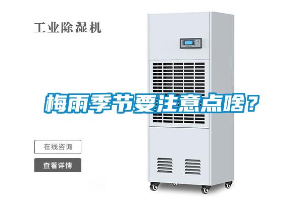 梅雨季节要注意点啥？