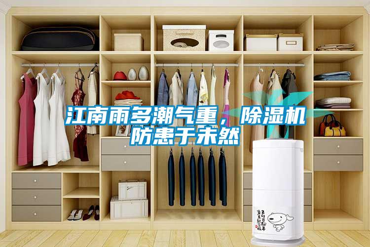 江南雨多潮气重，草莓视频APP在线观看防患于未然