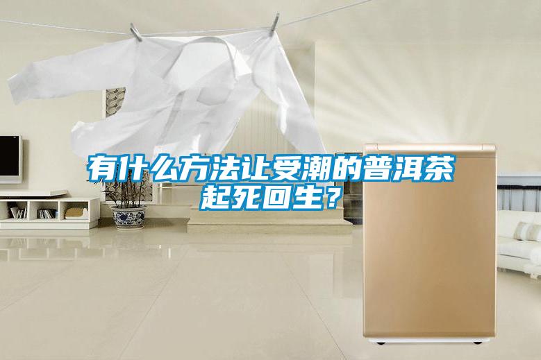 有什么方法让受潮的普洱茶起死回生？