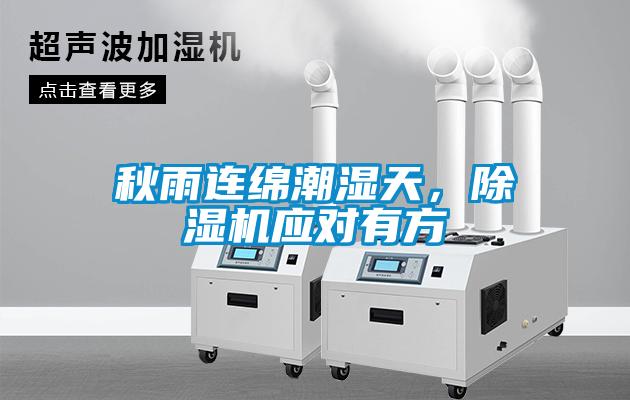 秋雨连绵潮湿天，草莓视频APP在线观看应对有方