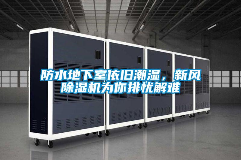 防水地下室依旧潮湿，新风草莓视频APP在线观看为你排忧解难