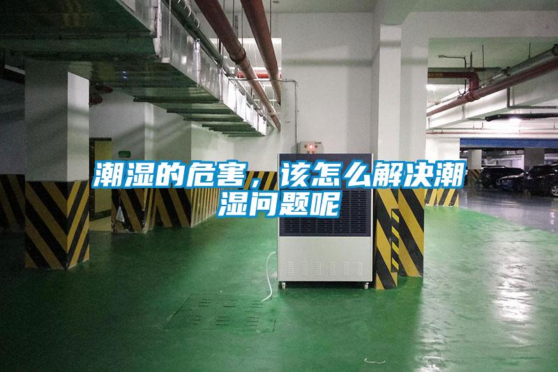潮湿的危害，该怎么解决潮湿问题呢