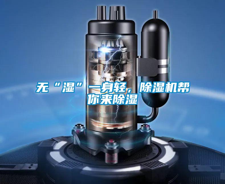 无“湿”一身轻，草莓视频APP在线观看帮你来除湿