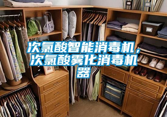次氯酸智能消毒机，次氯酸雾化消毒机器
