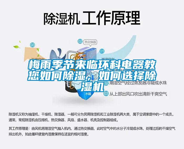 梅雨季节来临环科电器教您如何除湿，如何选择草莓视频APP在线观看