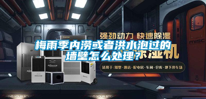梅雨季内涝或者洪水泡过的墙壁怎么处理？